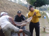 /album/galeria-de-fotos/ate-peidou-rsrs-jpg/